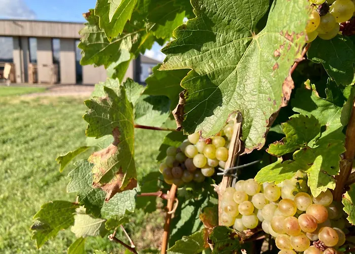 شقة Moselhoch Klusserath